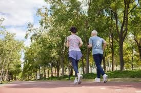 [法甲]科雷亚破门 里尔小胜昂热