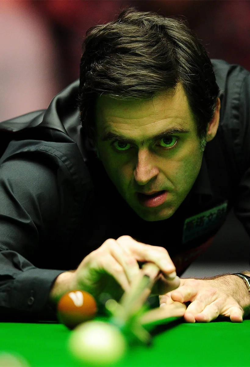 智的决策 智的决策